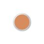 Ben Nye Five O’ Sharp Beard & Shadow Concealer FS-1 