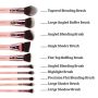 Pink & Rose Gold 10 pc. Sculpt & Contour Set