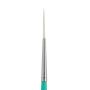Global Brushes Springback Script Liner Long