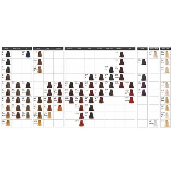 The Toujours Hair dye Color Chart